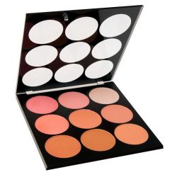  PALETA ELIXIR 877


